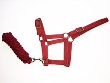 Harlequin headcollar leadrope for sale  POULTON-LE-FYLDE