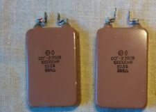 2 peças. Capacitores de áudio MICA PRATA PAR COMBINADO SSG-2 350V / 0,1 uF = 100000pf comprar usado  Enviando para Brazil