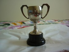 Small plated trophy for sale  WOODBRIDGE
