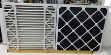 Two nordic pure for sale  Moore
