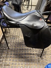 Gorgeous black jeffries for sale  CRANBROOK