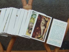 Gallaher wild animals for sale  WORTHING