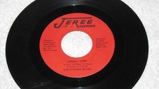 Stormy blues want for sale  Youngstown