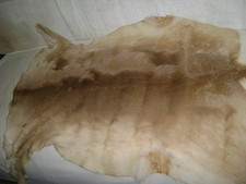 North mexico tamaulipas for sale  Houston