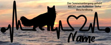 Aufkleber katze norwegische gebraucht kaufen  Munster