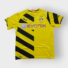 Borussia dortmund trikot gebraucht kaufen  Oberzent