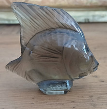 Petit poisson gris d'occasion  Saint-André-de-Cubzac