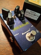 Demon angel blue for sale Demon angel blue for sale  CHESTERFIELD