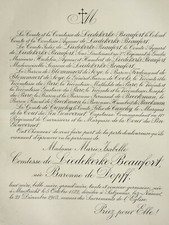 Liedekerke beaufort baronne d'occasion  Pluvigner