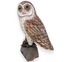 Barn owl driftwood for sale  Nampa