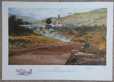 Combat rescue philip for sale  SPALDING