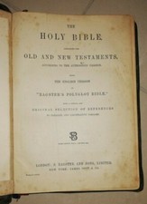The holy bible usato  Albano Laziale
