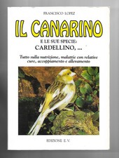Libro canarino sue usato  Jesolo