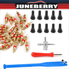 KIT 43 PIEZAS Instalador de vástago de válvula Removedor Juego de herramientas de reparación Extractor Enchufe de neumático de automóvil Hqhd segunda mano  Embacar hacia Mexico