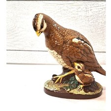 Quail mother hen for sale  Hawkins