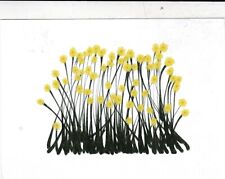 Daffodils marie curie for sale  ROCHESTER