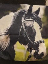 Amazing stunning horse for sale  EXETER