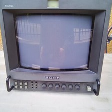 Monitor sony trinitron usato  Villorba