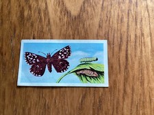 Barratt british butterflies for sale  NEWBURY