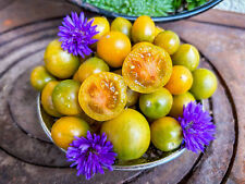 aromen gebraucht kaufen aromen gebraucht kaufen Waigolshausen