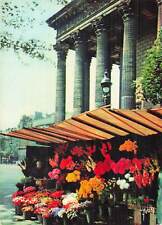 Paris marche fleurs d'occasion  France