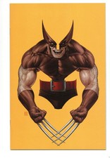 DEADPOOL WOLVERINE #2 (2025) - GRAU QUASE PERFEITO - ESPAÇO NEGATIVO VARIANTE VIRGEM JTC comprar usado  Enviando para Brazil