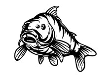 Aufkleber carp karpfen gebraucht kaufen  Papenburg