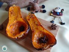 Zucca violina liscia usato  San Biagio di Callalta