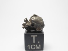 2.38 golden pallasite d'occasion  Antibes