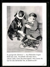 Ansichtskarte berlin hund gebraucht kaufen  Berlin