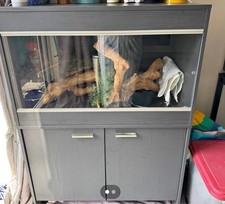 Vivarium completed stand for sale  CHESTER LE STREET