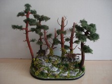 Erstklassiges schönes seltene gebraucht kaufen  Falkenstein
