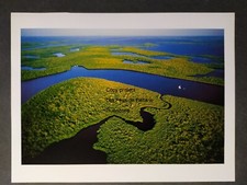 Mangroves everglades yann d'occasion  Beaumont-de-Lomagne