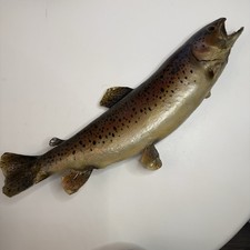 Brown trout taxidermy for sale  Irwin