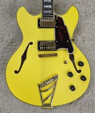 Angelico deluxe semihollow for sale  Harrisonville