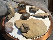 Assorted mineral geodes for sale  Gooding