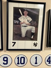 Mickey mantle signed for sale  Lady Lake