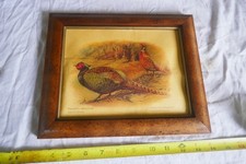Vintage pheasants paper for sale  Bruce