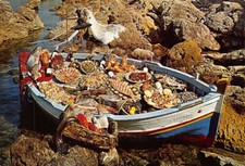 Cartolina sardegna specialità usato  Milano