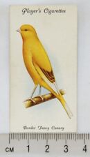 1933 john player for sale  STOKE-ON-TRENT