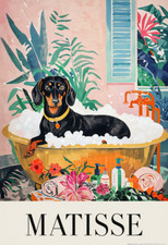 Matisse dachshund bath for sale  DUNSTABLE