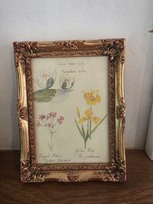 Vintage gold framed for sale  FORDINGBRIDGE