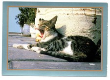 Cpm chat tigré d'occasion Cpm chat tigré d'occasion  Agay