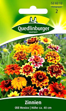Zinnien mexico dauerblüher gebraucht kaufen  Oschersleben (Bode)