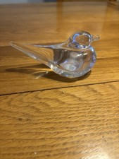 Daum bird for sale  WIGAN