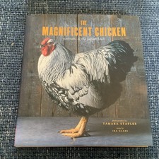 Magnificent chicken portraits for sale Magnificent chicken portraits for sale  BEAMINSTER