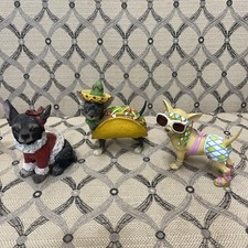 Chihuahua baby dog for sale  Yucaipa