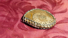 Collection mollusque fossile d'occasion  Saujon