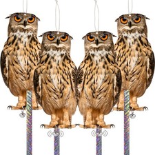 Dissuasori per piccioni usato  Italia