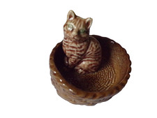 Wade tabby cat for sale  ADDLESTONE